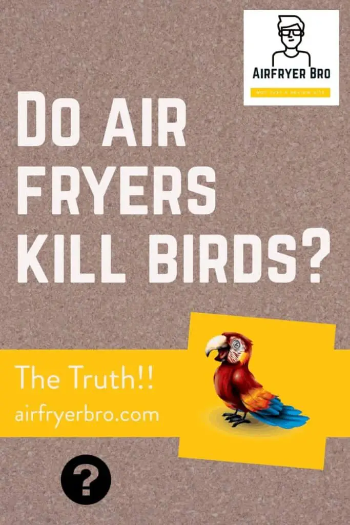 do you need to worry about air fryers around your pet birds?
