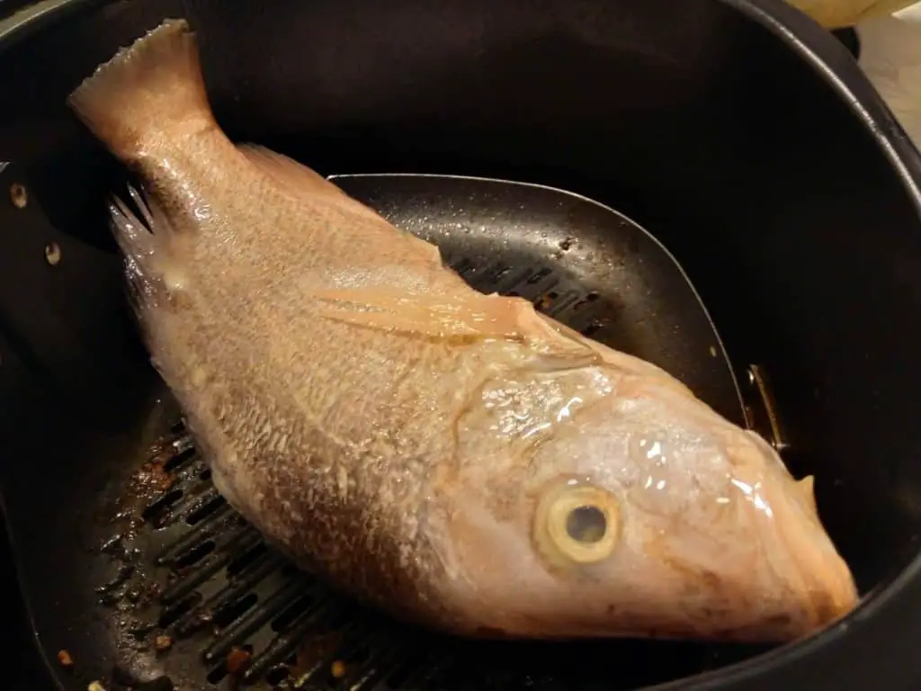 the fish sat in my air fryer.