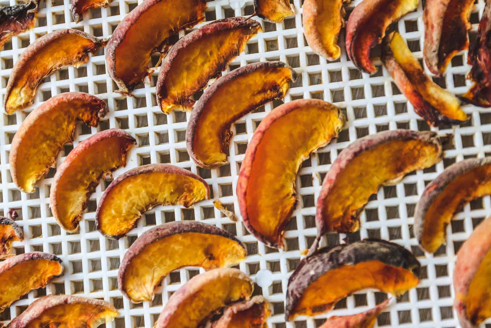 Best air fryers for dehydrating.